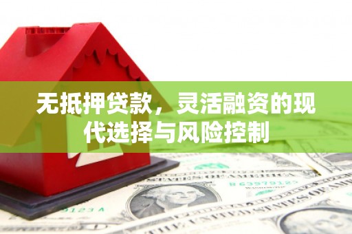 邵东无抵押贷款，灵活融资的现代选择与风险控制