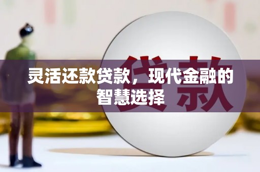 邵东灵活还款贷款，现代金融的智慧选择