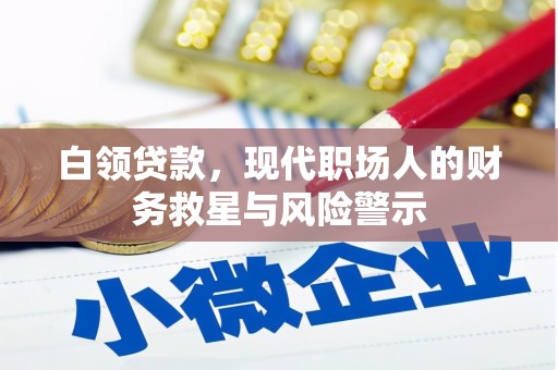 邵东白领贷款，现代职场人的财务救星与风险警示