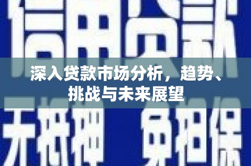邵东深入贷款市场分析，趋势、挑战与未来展望