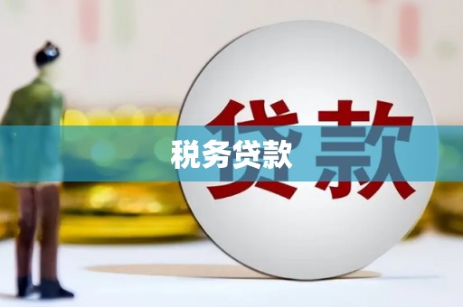 邵东税务贷款