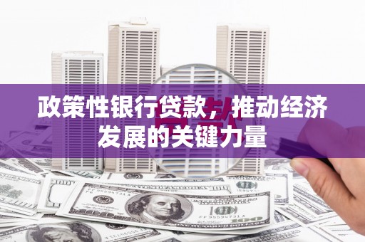 邵东政策性银行贷款，推动经济发展的关键力量