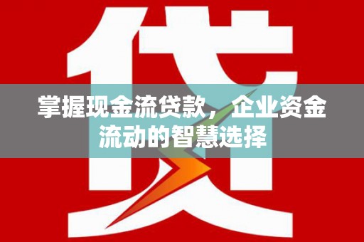 邵东掌握现金流贷款，企业资金流动的智慧选择