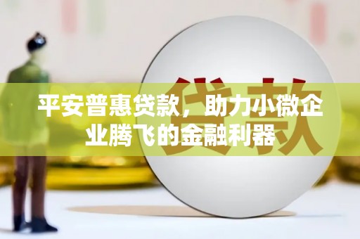 邵东平安普惠贷款，助力小微企业腾飞的金融利器