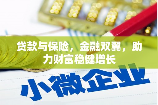 邵东贷款与保险，金融双翼，助力财富稳健增长