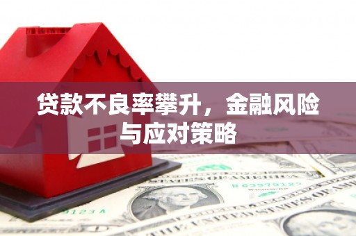 邵东贷款不良率攀升，金融风险与应对策略