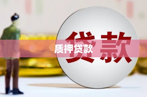 邵东质押贷款