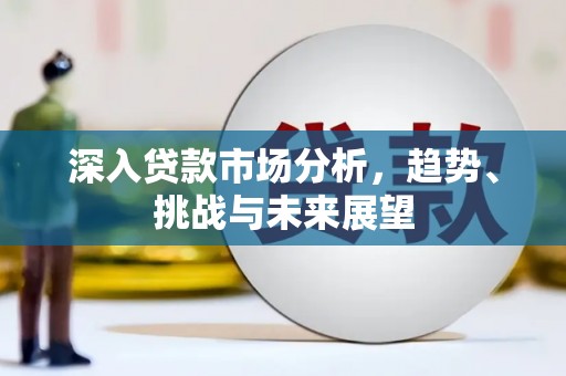 邵东深入贷款市场分析，趋势、挑战与未来展望