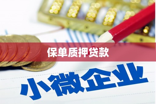 邵东保单质押贷款