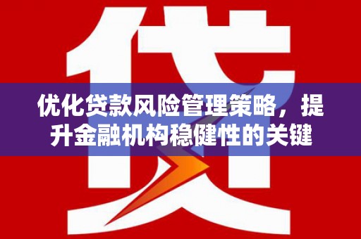 邵东优化贷款风险管理策略，提升金融机构稳健性的关键