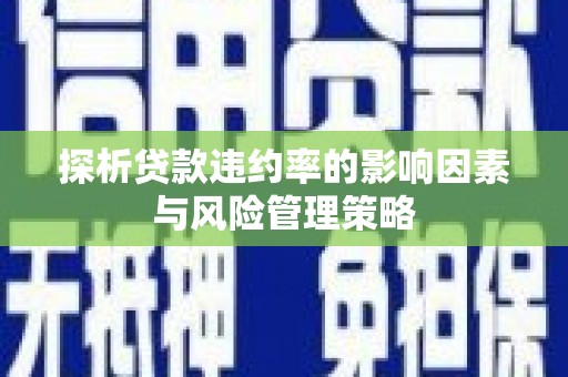 邵东探析贷款违约率的影响因素与风险管理策略