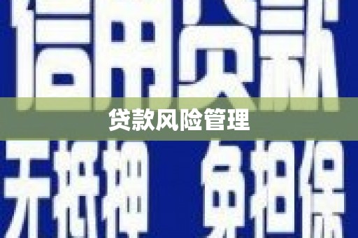 邵东贷款风险管理