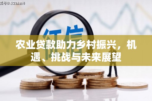 邵东农业贷款助力乡村振兴，机遇、挑战与未来展望