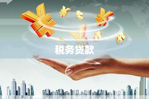 邵东税务贷款