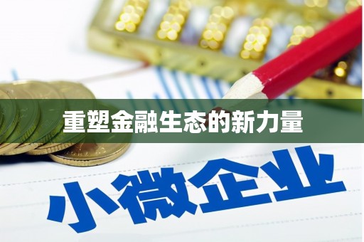 邵东重塑金融生态的新力量