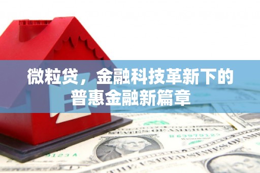 邵东微粒贷，金融科技革新下的普惠金融新篇章