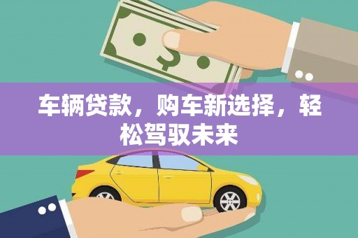 邵东车辆贷款，购车新选择，轻松驾驭未来