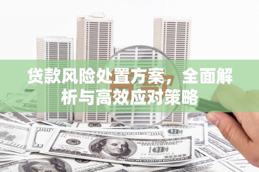邵东贷款风险处置方案，全面解析与高效应对策略