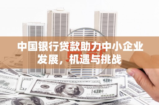 邵东中国银行贷款助力中小企业发展，机遇与挑战
