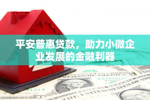 邵东平安普惠贷款，助力小微企业发展的金融利器