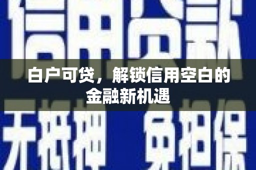 邵东白户可贷，解锁信用空白的金融新机遇