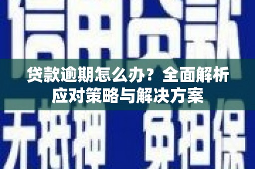 邵东贷款逾期怎么办？全面解析应对策略与解决方案