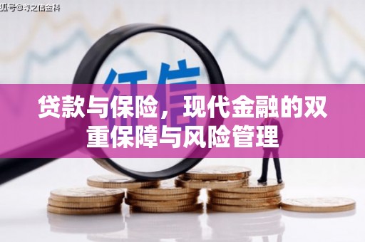 邵东贷款与保险，现代金融的双重保障与风险管理