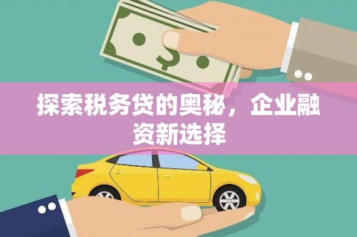 邵东探索税务贷的奥秘，企业融资新选择