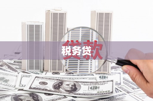 邵东税务贷