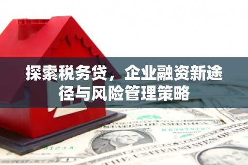 邵东探索税务贷，企业融资新途径与风险管理策略