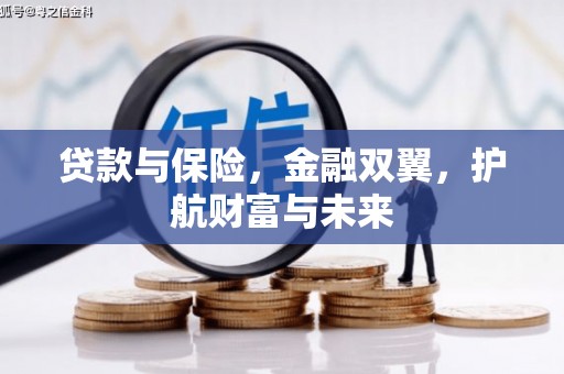 邵东贷款与保险，金融双翼，护航财富与未来