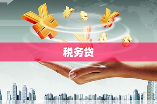 邵东税务贷