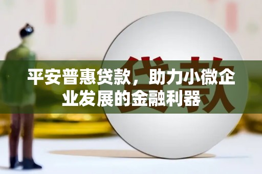 邵东平安普惠贷款，助力小微企业发展的金融利器
