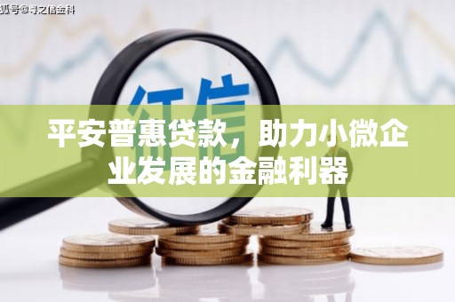 邵东平安普惠贷款，助力小微企业发展的金融利器