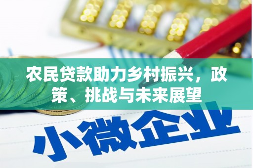 邵东农民贷款助力乡村振兴，政策、挑战与未来展望