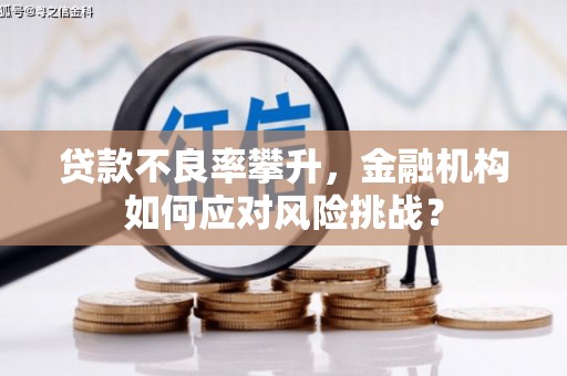 邵东贷款不良率攀升，金融机构如何应对风险挑战？
