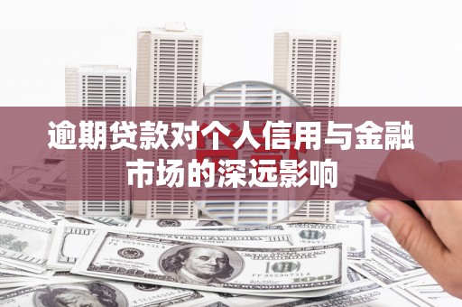 邵东逾期贷款对个人信用与金融市场的深远影响