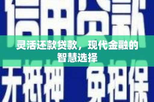 邵东灵活还款贷款，现代金融的智慧选择