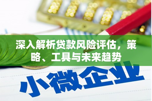 邵东深入解析贷款风险评估，策略、工具与未来趋势