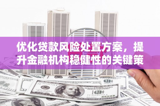 邵东优化贷款风险处置方案，提升金融机构稳健性的关键策略