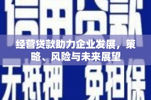 邵东经营贷款助力企业发展，策略、风险与未来展望