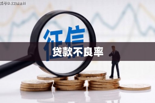 邵东贷款不良率