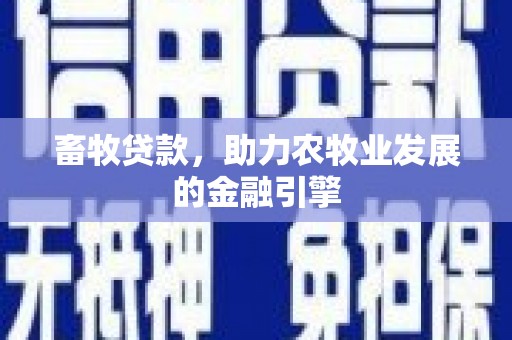 邵东畜牧贷款，助力农牧业发展的金融引擎