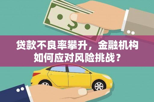 邵东贷款不良率攀升，金融机构如何应对风险挑战？