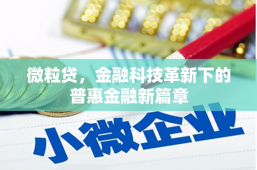 邵东微粒贷，金融科技革新下的普惠金融新篇章