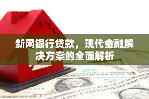 邵东新网银行贷款，现代金融解决方案的全面解析