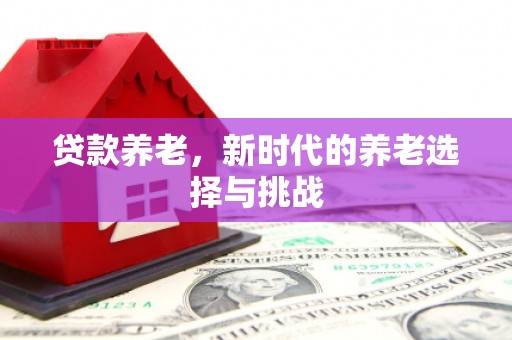 邵东贷款养老，新时代的养老选择与挑战