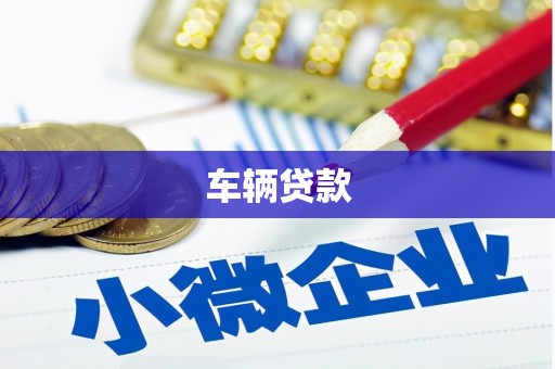 邵东车辆贷款