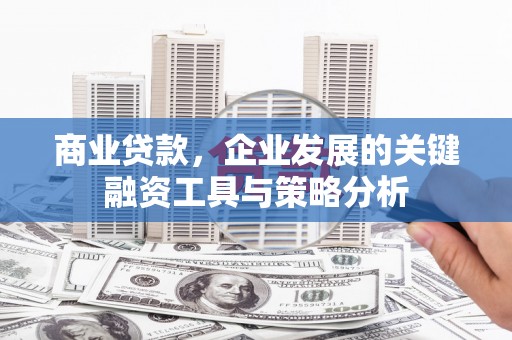 邵东商业贷款，企业发展的关键融资工具与策略分析