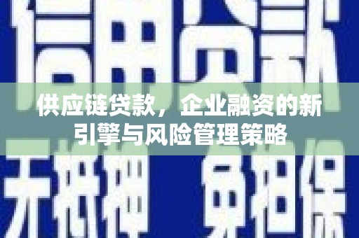 邵东供应链贷款，企业融资的新引擎与风险管理策略